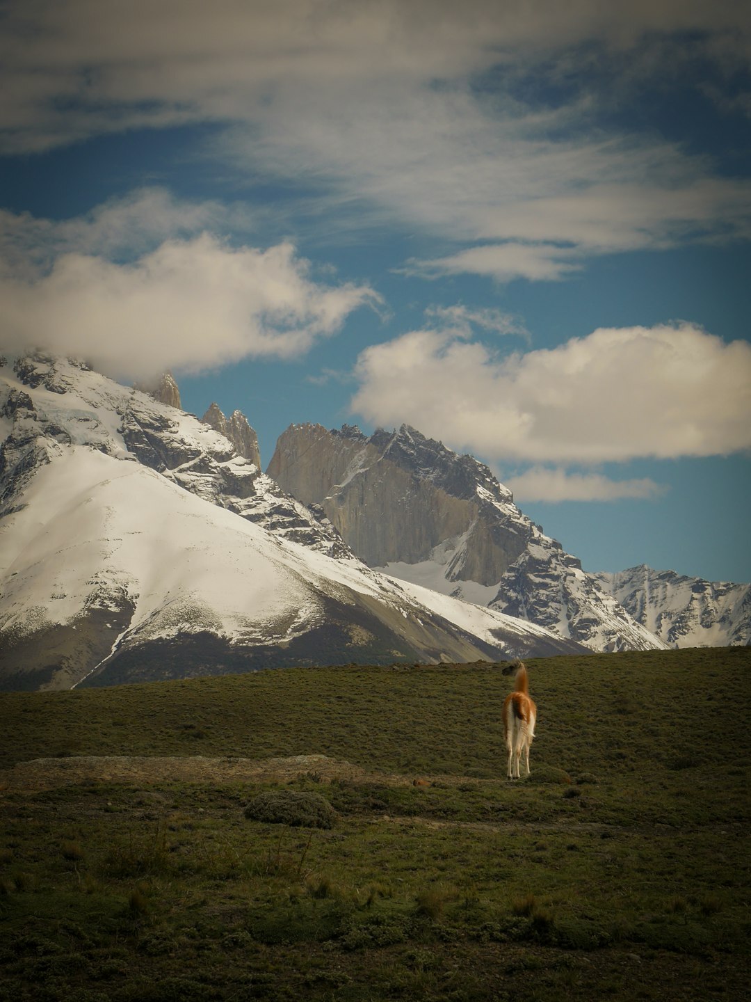 Portrait of an older Chilean woman photographer
